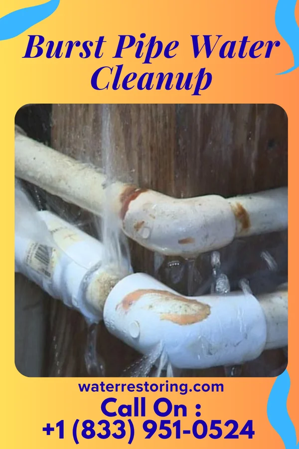 Burst Pipe Water Cleanup in Lockport Heights, IL